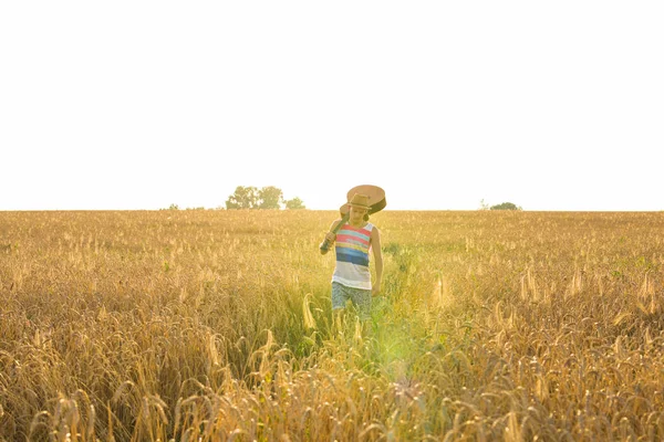 Músico sosteniendo guitarra acústica y caminando en campos de verano al atardecer — Foto de Stock