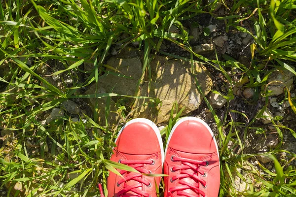 Розовые кроссовки на траве — стоковое фото