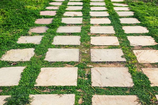 Camino en el jardín, césped verde con caminos de ladrillos, diseño de paisaje de jardín — Foto de Stock