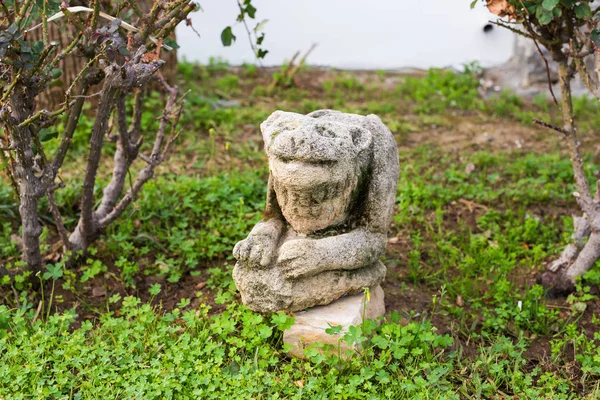 Estátua de leão ou gato de pedra — Fotografia de Stock