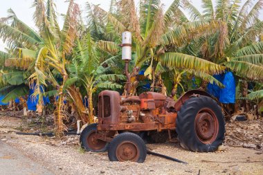 terk edilmiş eski paslı ve tozlu traktör sanayi tarım sahne