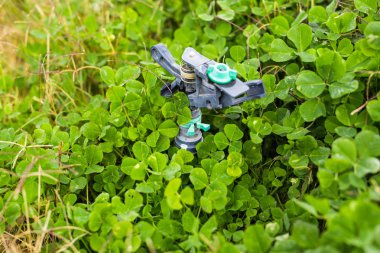 Yağmurlama kafa yeşil çim üzerinde su püskürtme için.