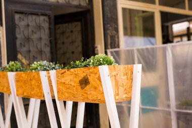 Farklı potted bitki ve fidan çiçekçi dükkanı girişinde yakın: