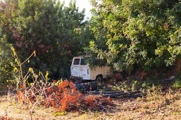 Desatendido coche abandonado en el bosque en la naturaleza —  Fotos de Stock