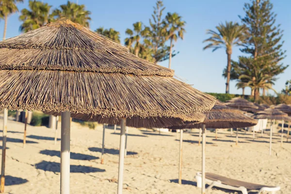 Guarda-chuvas decorativos feitos de ramos de palma no fundo da praia — Fotografia de Stock