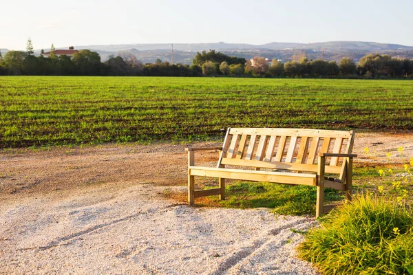 Natura esterna panca in legno in stile zen giardino — Foto Stock