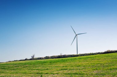 Rüzgar türbinleri elektrik üreten yeşil çayır