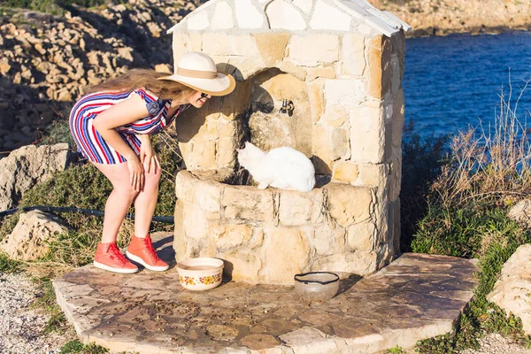 White Cat homeless and Woman playing with him Outdoor Lifestyle and Friendship helping concept