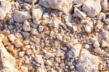 Taşlı deniz kıyısında arka plan