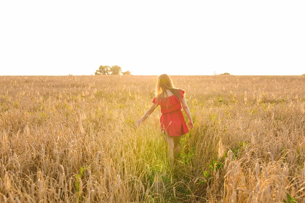 Mujer joven caminando en un campo de trigo con sol en el fondo — Foto de Stock