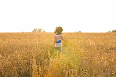 Akustik gitar tutarak ve gün batımında yaz alanlarına yürüme müzisyen.