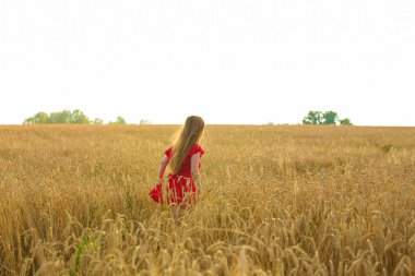 Bir buğday alanında güneş arka planda yürüyen genç kadın