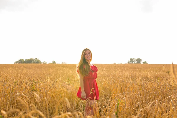 Mujer joven caminando en un campo de trigo con sol en el fondo —  Fotos de Stock