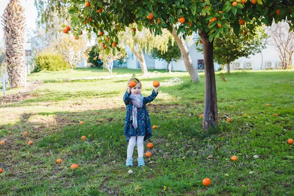 Menina segurando laranjas no jardim — Fotografia de Stock