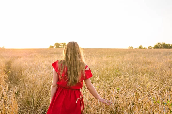 Lycka, natur, sommar, höst, semester och människor koncept - ung kvinna i fältet från baksidan — Stockfoto