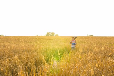 Akustik gitar tutarak ve gün batımında yaz alanlarına yürüme müzisyen.