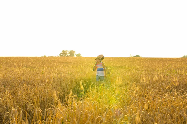 Musician holding acoustic guitar and walking in summer fields at sunset. — Stock Photo, Image