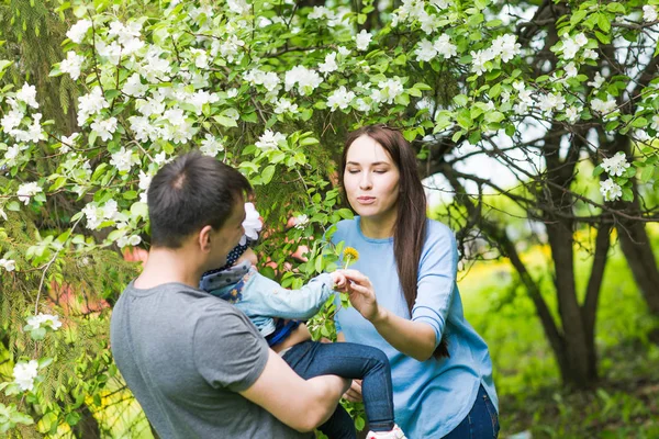 Family spending time together in the park in spring time. Mother, toddler and father playing in blooming garden.