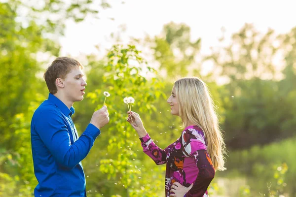 Par i kärlek blåser blowballs blommor i ansiktet på varandra. Ler och skrattar folk har god tid utanför varm sommardag. Kvinna och man njuter av naturen. — Stockfoto