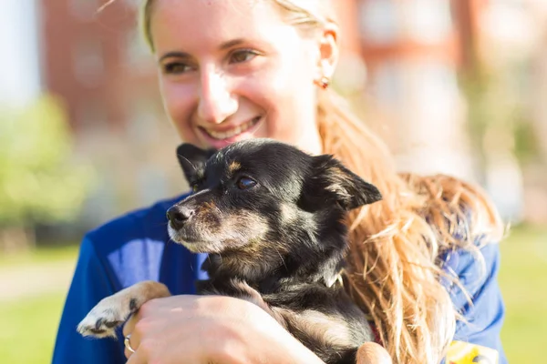 Concept of pets and happy owner - woman is holding a dog outdoors. — Stock Photo, Image