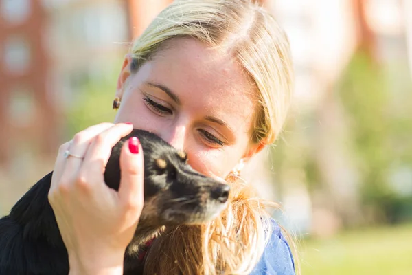 Concept of pets and happy owner - woman is holding a dog outdoors. — Stock Photo, Image