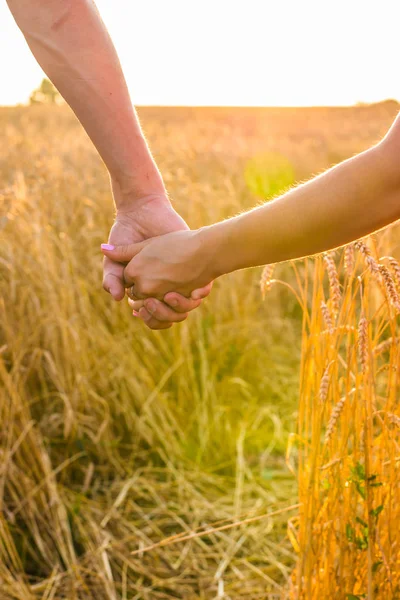 Vista trasera de una hermosa pareja de amor tomados de la mano al aire libre sobre un fondo de campo de verano. Primer plano —  Fotos de Stock