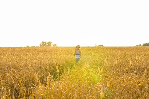 Músico sosteniendo guitarra acústica y caminando en campos de verano al atardecer — Foto de Stock