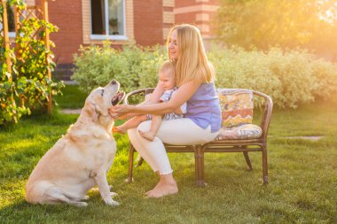 Anne ve oğlu yaz parkta bir golden retriever ile oynarken eğleniyor birlikte.