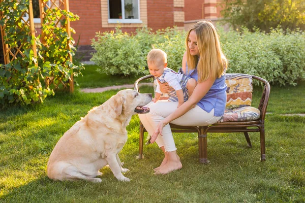 Mother holding baby son and playing with labrador dog in the park — Stock Photo, Image