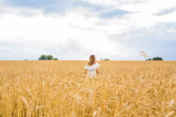 Felicidad, naturaleza, verano, otoño, vacaciones y el concepto de la gente - mujer joven en el campo . —  Fotos de Stock