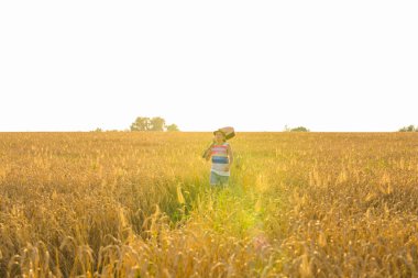 Akustik gitar tutarak ve gün batımında yaz alanlarına yürüme müzisyen