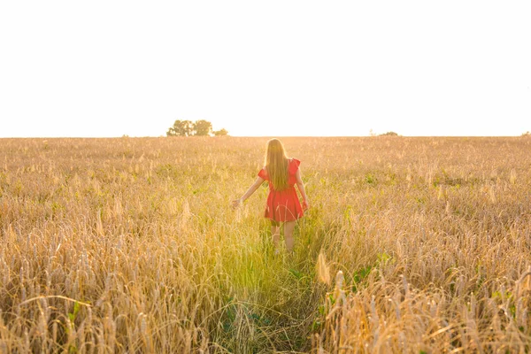 Kadın buğday alanında, arka görüş — Stok fotoğraf