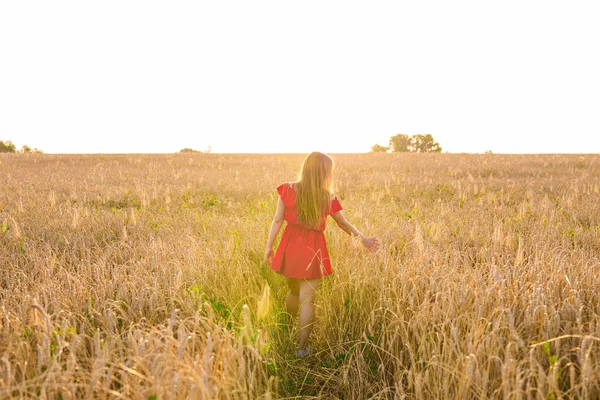 Mujer en campo de trigo, vista trasera — Foto de Stock