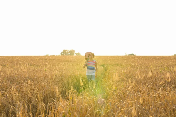 Músico sosteniendo guitarra acústica y caminando en campos de verano al atardecer —  Fotos de Stock