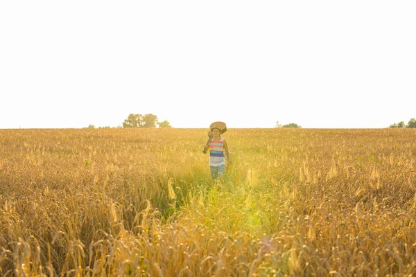 Musicien tenant une guitare acoustique et marchant dans les champs d'été au coucher du soleil — Photo