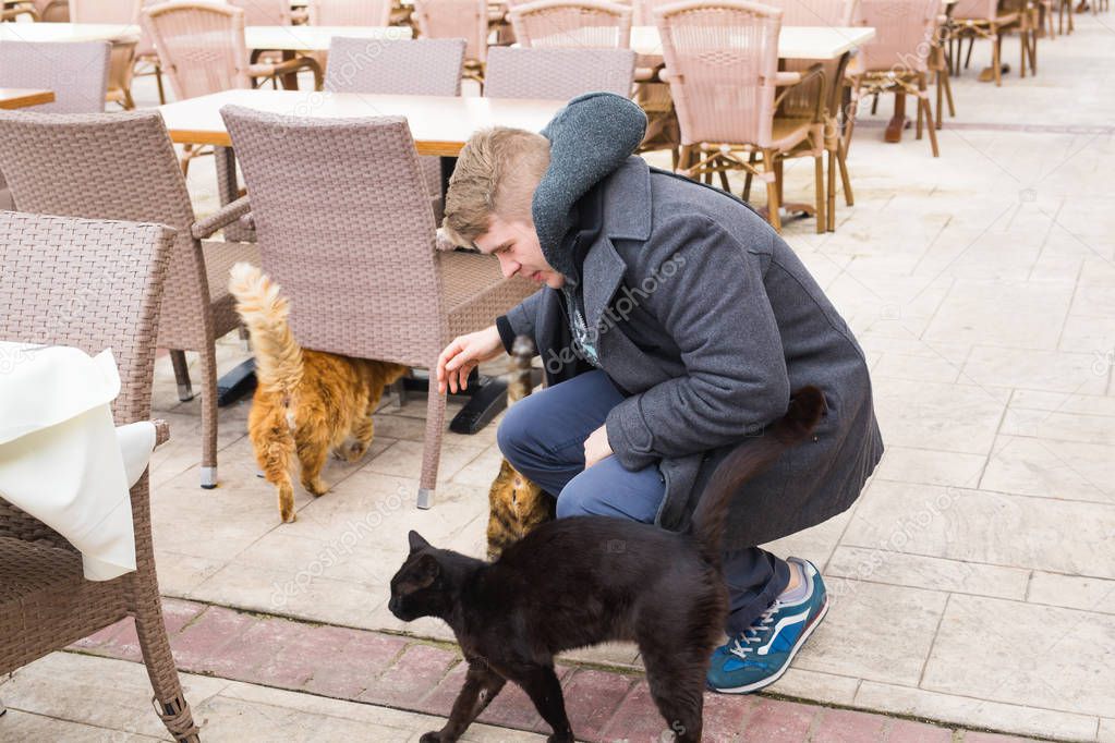 Homeless cat, pet and animals concept - Man stroking cats