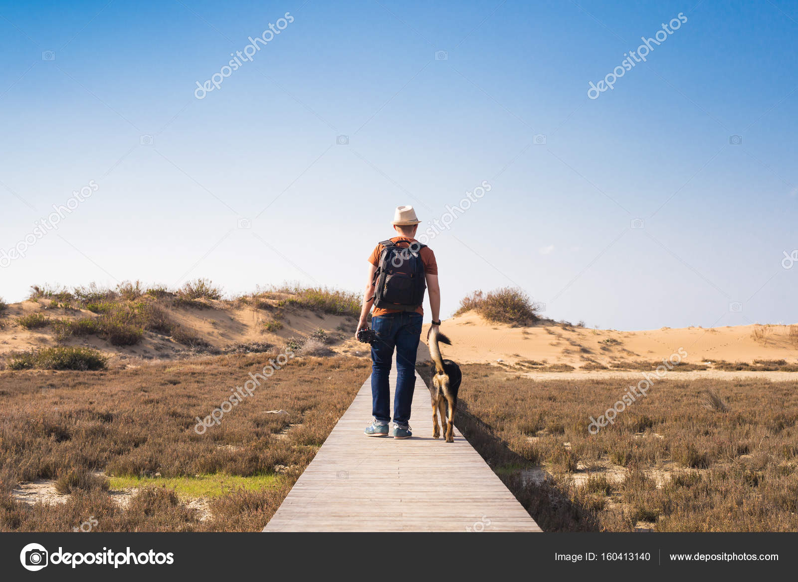 Ansicht von hinten ein Mann geht mit seinem Hund auf eine Straße führt