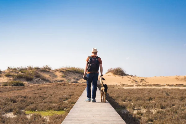 Vista desde atrás de un hombre caminando con su perro en un camino que conduce a través de un hermoso paisaje — Foto de Stock