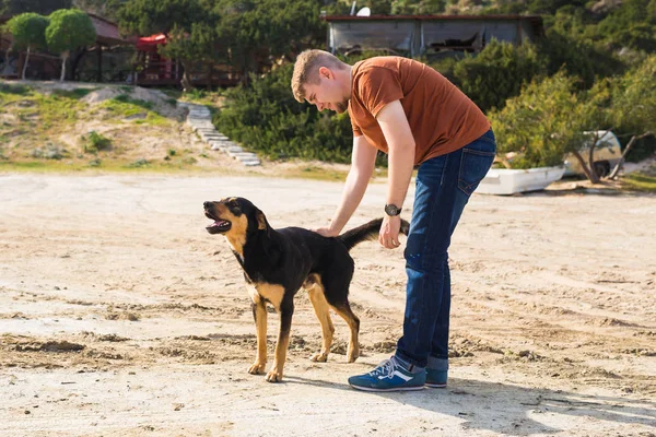 Animal de estimação, animal doméstico, estação e conceito de pessoas - homem feliz com seu cão andando ao ar livre — Fotografia de Stock