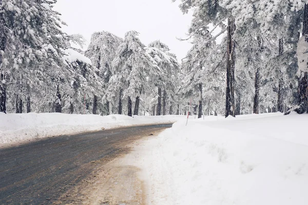 Winterliche Straße und Schnee mit Baumlandschaft mit Frost — Stockfoto