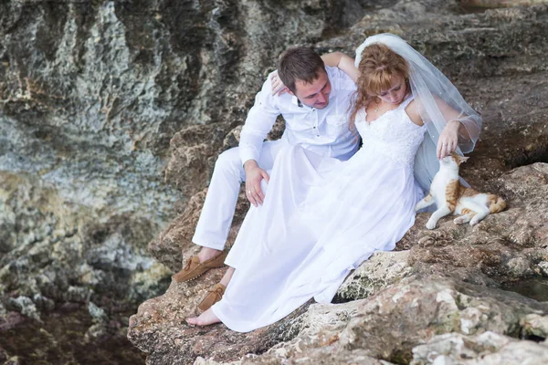 Birkaç yeni evli gelin ve damat ile kedi, mutlu ve neşeli an. Erkek ve kadın düğün giysileri içinde kaya zemin üzerine oturmak. — Stok fotoğraf