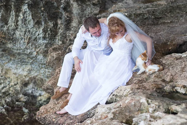 Birkaç yeni evli gelin ve damat ile kedi, mutlu ve neşeli an. Erkek ve kadın düğün giysileri içinde kaya zemin üzerine oturmak. — Stok fotoğraf