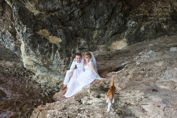 Birkaç yeni evli gelin ve damat ile kedi, mutlu ve neşeli an. Erkek ve kadın düğün giysileri içinde kaya zemin üzerine oturmak. — Stok fotoğraf