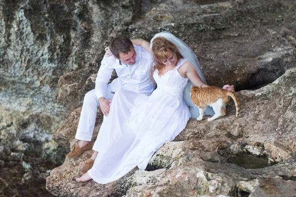 Casal recém-casados noiva e noivo com gato, momento feliz e alegre. Homem e mulher em roupas de casamento sentam-se no fundo da rocha . — Fotografia de Stock