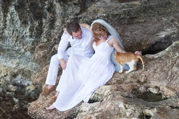 Pareja recién casados novia y novio con gato, momento feliz y alegre. Hombre y mujer en ropa de boda sentarse en el fondo de roca . —  Fotos de Stock