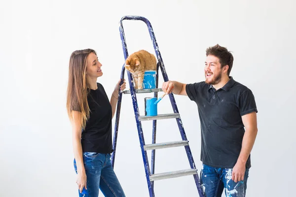 People, redecoration and relationship concept - Young funny couple with cat doing renovation in new apartment — Stock Photo, Image