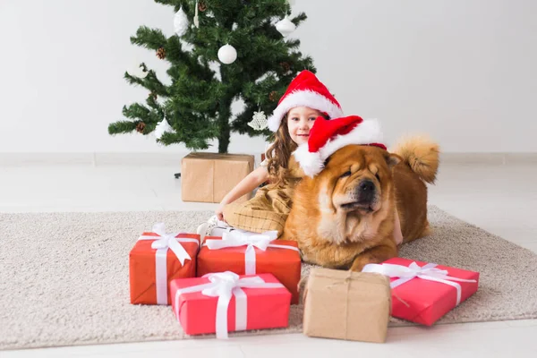 Παιδιά και κατοικίδιο ζώο έννοια - Χαριτωμένο κορίτσι με το σκυλί Chow κάθεται κοντά στο χριστουγεννιάτικο δέντρο. Καλά Χριστούγεννα και καλές γιορτές.. — Φωτογραφία Αρχείου