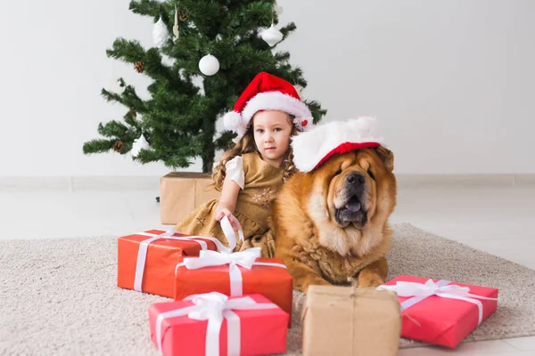 아이들 과 애완 동물 컨셉 - 크리스마스 트리 근처에 개를 키우는 귀여운 소녀. 메리 크리스마스와 즐거운 휴일. — 스톡 사진