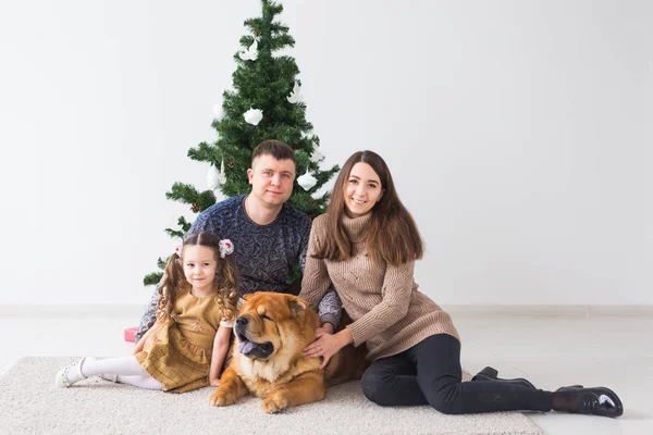 Haustier, Urlaub und Festkonzept - Familie mit Hund sitzt am Boden neben Weihnachtsbaum. — Stockfoto