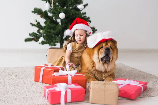 Παιδιά και κατοικίδιο ζώο έννοια - Χαριτωμένο κορίτσι με το σκυλί Chow κάθεται κοντά στο χριστουγεννιάτικο δέντρο. Καλά Χριστούγεννα και καλές γιορτές.. — Φωτογραφία Αρχείου